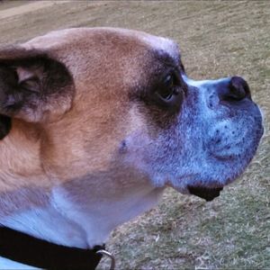 Meet your Posher, Janice